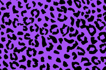 Black and Purple leopard skin pattern for backgroundの写真素材