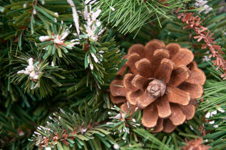 Pine cones on on Christmas tree decoration over festive backgroundの写真素材