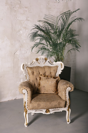 White sofa armchair standing next to a plant pot on white wall.の写真素材
