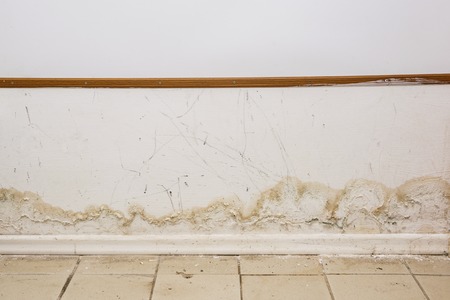 Big wet spots and cracks and black mold on the wall near flour in domestic house room after heavy...
