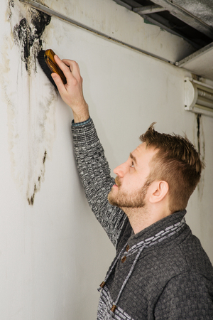 Bearded man removes black mold on the wall after leakage - Imageの写真素材