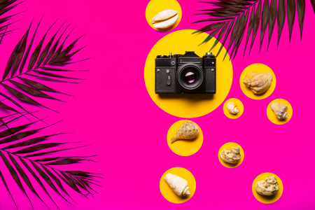 Flat lay traveler accessories with palm leaf, seashells, camera . Top view travel or vacation concept. Summer background.の写真素材
