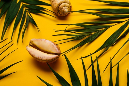 Flat lay traveler accessories with palm leaf, seashells . Top view travel or vacation concept....
