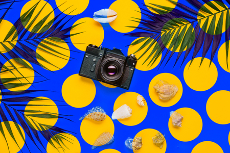 Flat lay traveler accessories with palm leaf, seashells, camera . Top view travel or vacation concept. Summer background.の写真素材