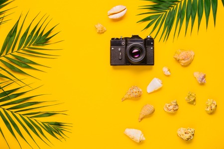 Flat lay traveler accessories with palm leaf, seashells, camera . Top view travel or vacation...