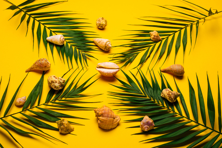 Flat lay traveler accessories with palm leaf, seashells . Top view travel or vacation concept. Summer background.の写真素材