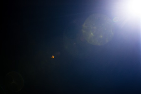 Flash of a distant abstract star. Abstract sun flare. The lens flare is subject to digital correction. - Imageの写真素材
