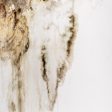 Big wet spots and cracks and black mold on the wall of the domestic house room after heavy rain and lot of water - Imageの写真素材