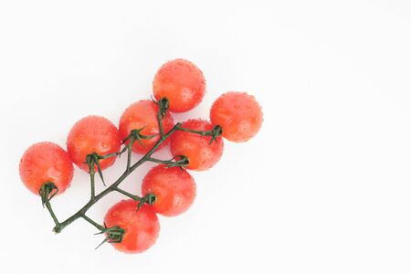 Ripe cherry tomatoes on a twig on a white background - imageの写真素材