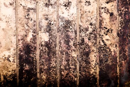 Black spots of toxic mold and fungus bacteria on a wall. Concept of condensation, damp, water infiltration, high humidity and respiratory problems.の写真素材