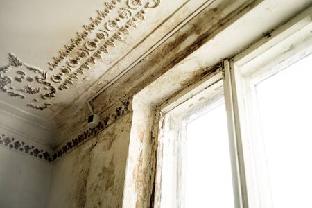 Rain water leaks on the ceiling causing damage, peeling paint and moldy. - imageの写真素材