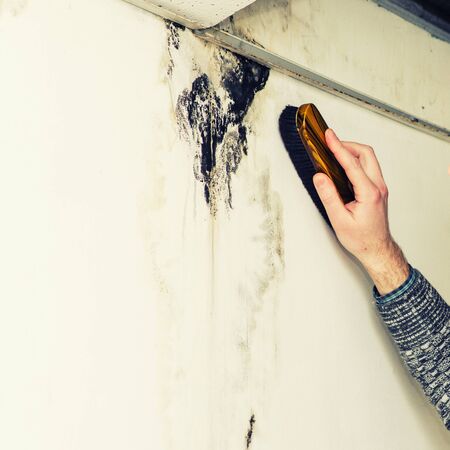 man's hand removes black mold on the wall after leakage - Image Toned
