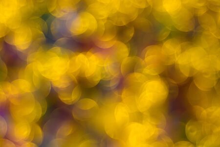 Abstract golden color lights chrismas background. de-focused - imageの写真素材
