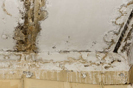 Consequences of leaking roof in the old office room - imageの写真素材