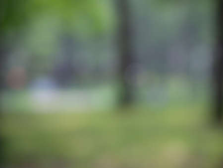 Blurry nature wallpaper. Forest bokeh background. Green defocused backdrop for your design.の写真素材