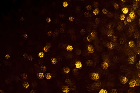 Christmas background. Festive abstract background with bokeh defocused lights and stars.の写真素材