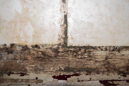 Big wet spots and cracks and black mold on the wall near flour in domestic house room after heavy...