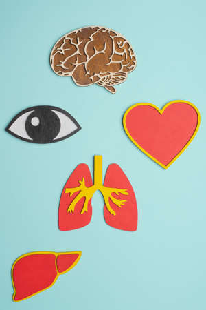 mockup of eyes, brain, lungs, heart and liver on blue backgroundの写真素材