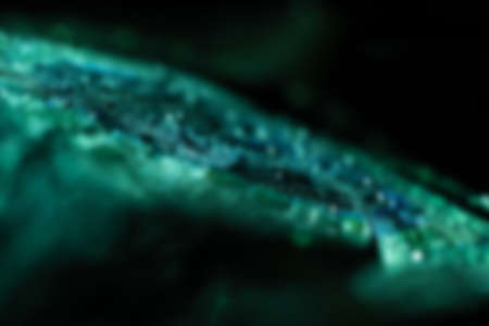 Water drop on peacock feather