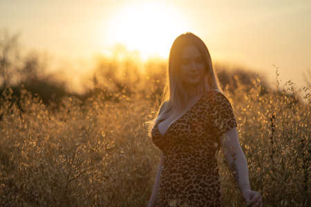 A young beautiful curvy woman in a leopard dress poses in a field at sunsetの写真素材