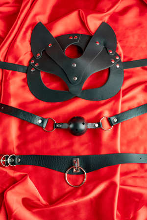 Adult sex games. BDSM items. Leather mask cat, gag ball, collar on a red satin sheet.の写真素材