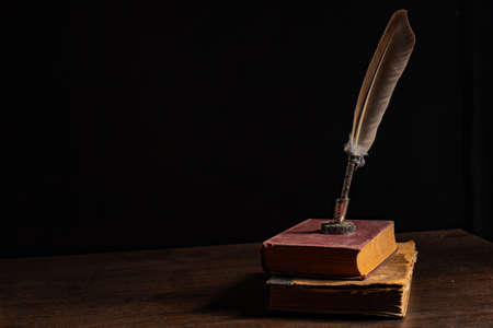 Quill pen and inkwell resting on an old book concept for literature, writing, author and historyの写真素材