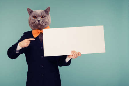 Abstract modern collage. The man with the head of funny cat with orange bow-tie points finger blank signboardの写真素材