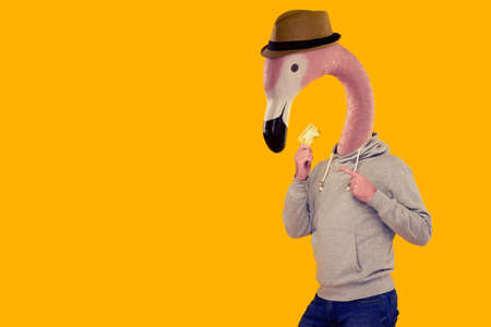 Attractive man with the head of a pink flamingo in a straw hat in a gray hoodie points a finger at the credit card that is holding in his hand on a yellow backgroundの写真素材