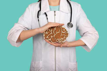 Female doctor with a stethoscope is holding mockup brains. Help and care conceptの写真素材