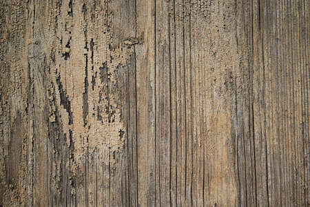 Brown wood texture background coming from natural tree. The wooden panel has a beautiful dark pattern, hardwood floor textureの写真素材