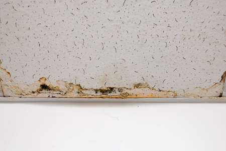 Flooding rainwater or floor heating systems, causing damage, peeling paint and mildew.