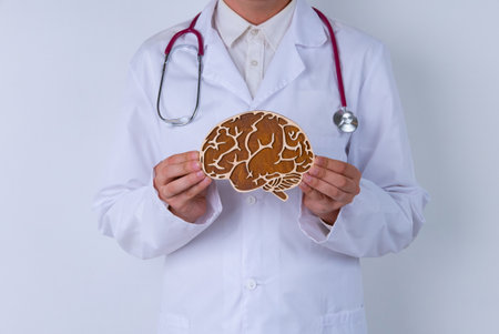 Male doctor with a stethoscope is holding mockup brains. Help and care conceptの写真素材