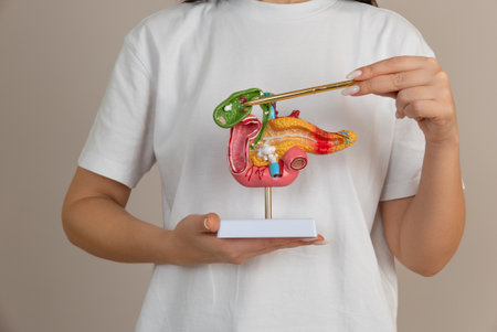 woman doctor pointing a pancreas mockupの写真素材