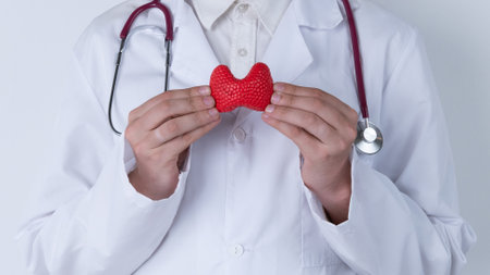 Male doctor with a stethoscope is holding mockup thyroid gland. Help and care concept