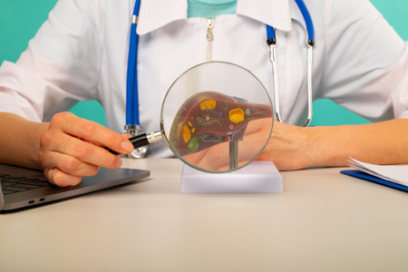 Male doctor showing a model of human liver using magnifying glass. Early diagnosis and treatment.