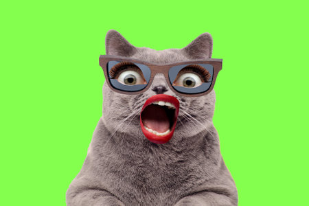 contemporary art collage. Surreal magazine template banner collage of freak cat and human open mouthの写真素材