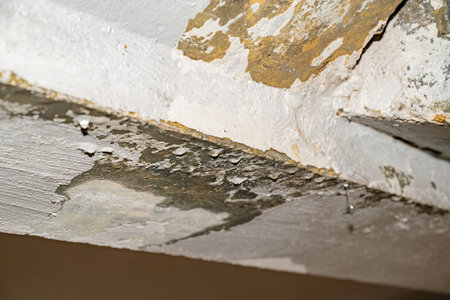 Flooding rainwater, causing damage, peeling paint and mildew.の写真素材