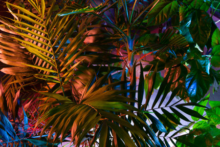 Creative fluorescent color layout made of tropical leaves. Flat lay neon colors. Nature concept.の写真素材