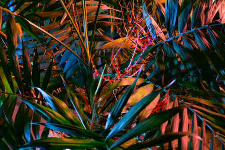 Creative fluorescent color layout made of tropical leaves. Flat lay neon colors. Nature concept.の写真素材