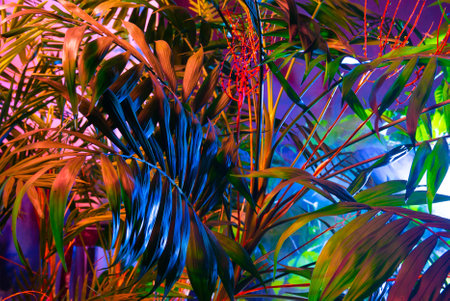 Creative fluorescent color layout made of tropical leaves. Flat lay neon colors. Nature concept.の写真素材