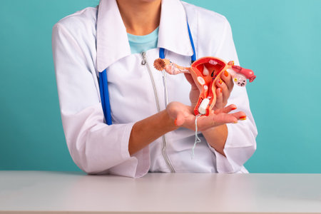 Woman gynecologist demonstrating female reproductive system model and hygienic tampon. Women healthcare and female hygiene concept.の写真素材