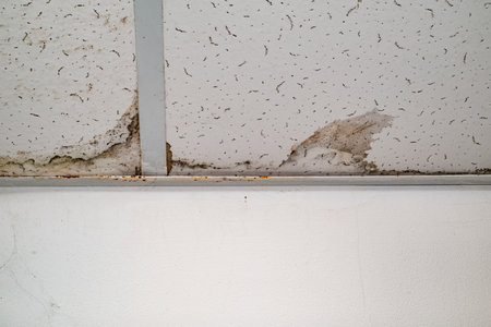 Flooding rainwater or floor heating systems, causing damage, peeling paint and mildewの写真素材