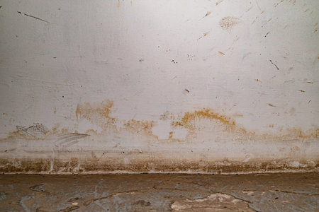 Flooding rainwater or floor heating systems, causing damage, peeling paint and mildewの写真素材