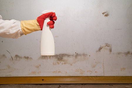 Human found mold on wall, in your residential building after renovation. a hand in a bathrobe and a protective glove holds a spray gun with an anti-mold agent. big mold on the wallの写真素材