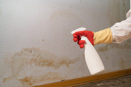 Human found mold on wall, in your residential building after renovation. a hand in a bathrobe and a protective glove holds a spray gun with an anti-mold agent. big mold on the wallの写真素材