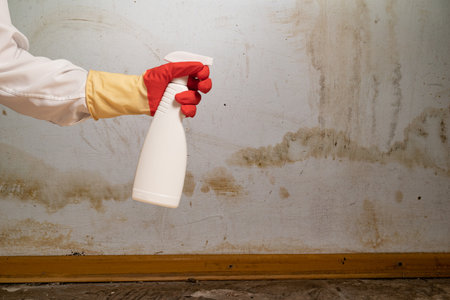 Flooding rainwater or floor heating systems, causing damage, peeling paint and mildewの写真素材