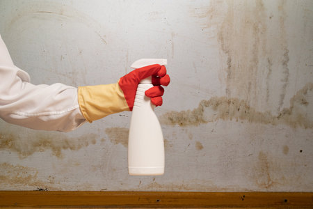 Human found mold on wall, in your residential building after renovation. a hand in a bathrobe and a protective glove holds a spray gun with an anti-mold agent. big mold on the wallの写真素材