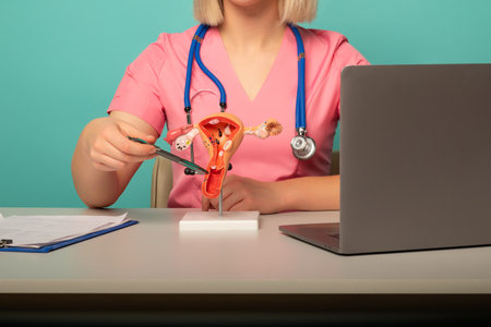 doctor gynecologist pointing model of female reproductive system on his desktopの写真素材