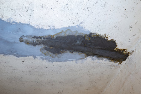 Flooding rainwater or floor heating systems, causing damage, peeling paint and mildewの写真素材