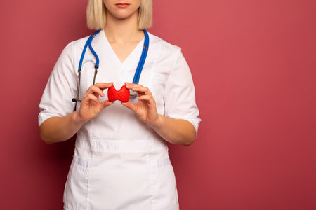 Female doctor is holding anatomical model of thyroid gland. Help and care conceptの写真素材